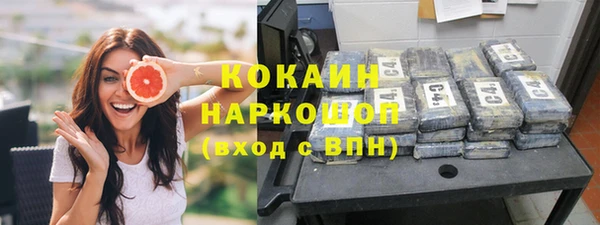 прущие грибы Магас