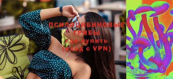 стафф Медногорск