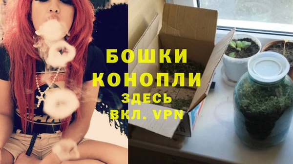 стафф Медногорск