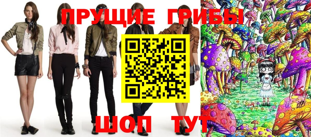 Галлюциногенные грибы GOLDEN TEACHER Надым